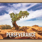 Perseverance Motivisional Poster