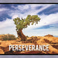 Perseverance Motivisional Poster