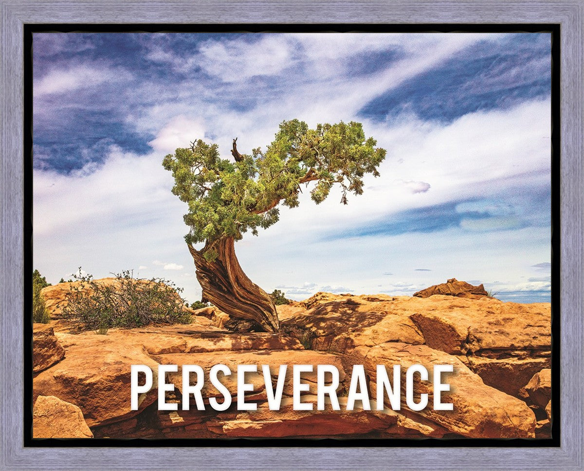 Perseverance Motivisional Poster