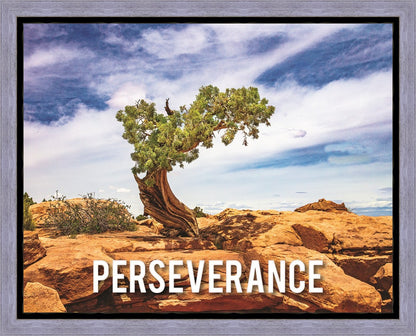 Perseverance Motivisional Poster