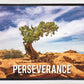 Perseverance Motivisional Poster