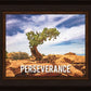 Perseverance Motivisional Poster