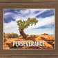 Perseverance Motivisional Poster