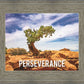 Perseverance Motivisional Poster