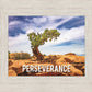 Perseverance Motivisional Poster