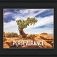 Perseverance Motivational Poster