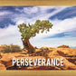 Perseverance Motivisional Poster