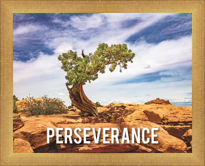 Perseverance Motivisional Poster