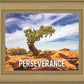 Perseverance Motivational Poster