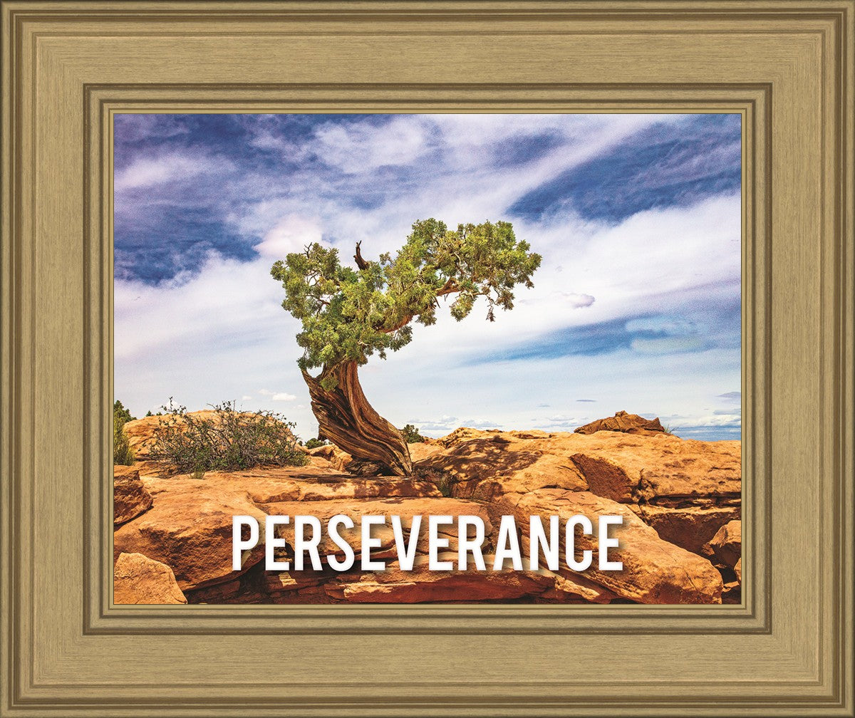 Perseverance Motivational Poster