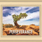 Perseverance Motivational Poster