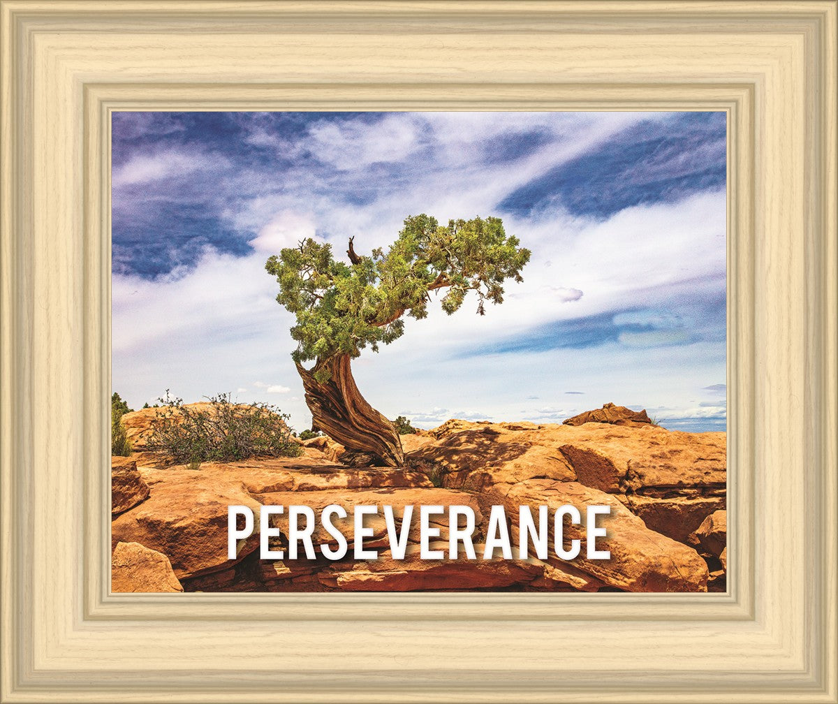 Perseverance Motivational Poster