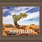 Perseverance Motivational Poster