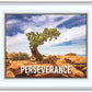 Perseverance Motivational Poster