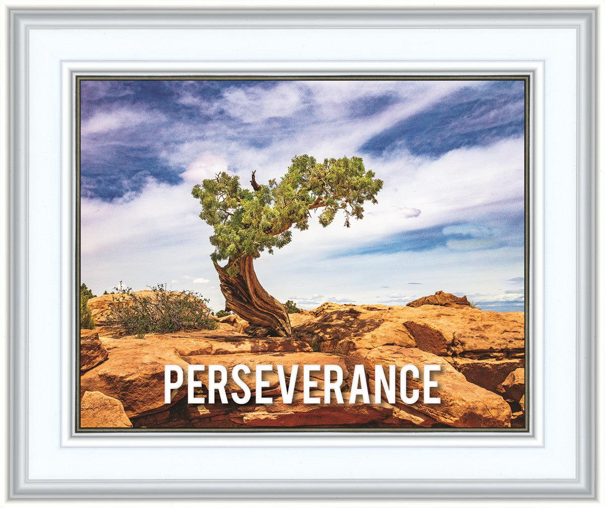 Perseverance Motivational Poster