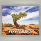 Perseverance Motivisional Poster