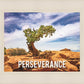 Perseverance Motivisional Poster