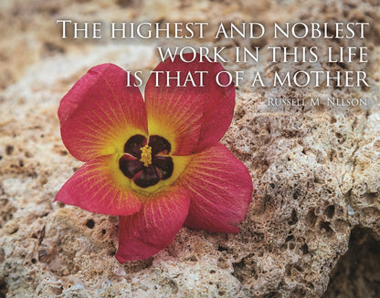 That of a Mother Motivisional Poster