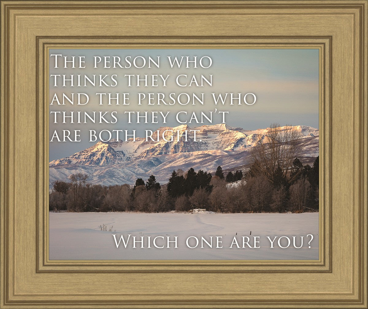Who Thinks They Can Motivational Poster