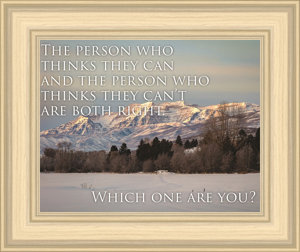 Who Thinks They Can Motivational Poster