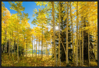 Autumn in the Rocky Mountains, Wasatch National Forest, Utah