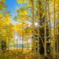 Autumn in the Rocky Mountains, Wasatch National Forest, Utah