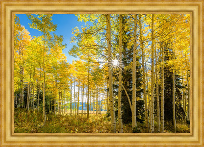 Autumn in the Rocky Mountains, Wasatch National Forest, Utah