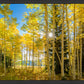 Autumn in the Rocky Mountains, Wasatch National Forest, Utah