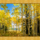 Autumn in the Rocky Mountains, Wasatch National Forest, Utah
