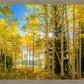 Autumn in the Rocky Mountains, Wasatch National Forest, Utah