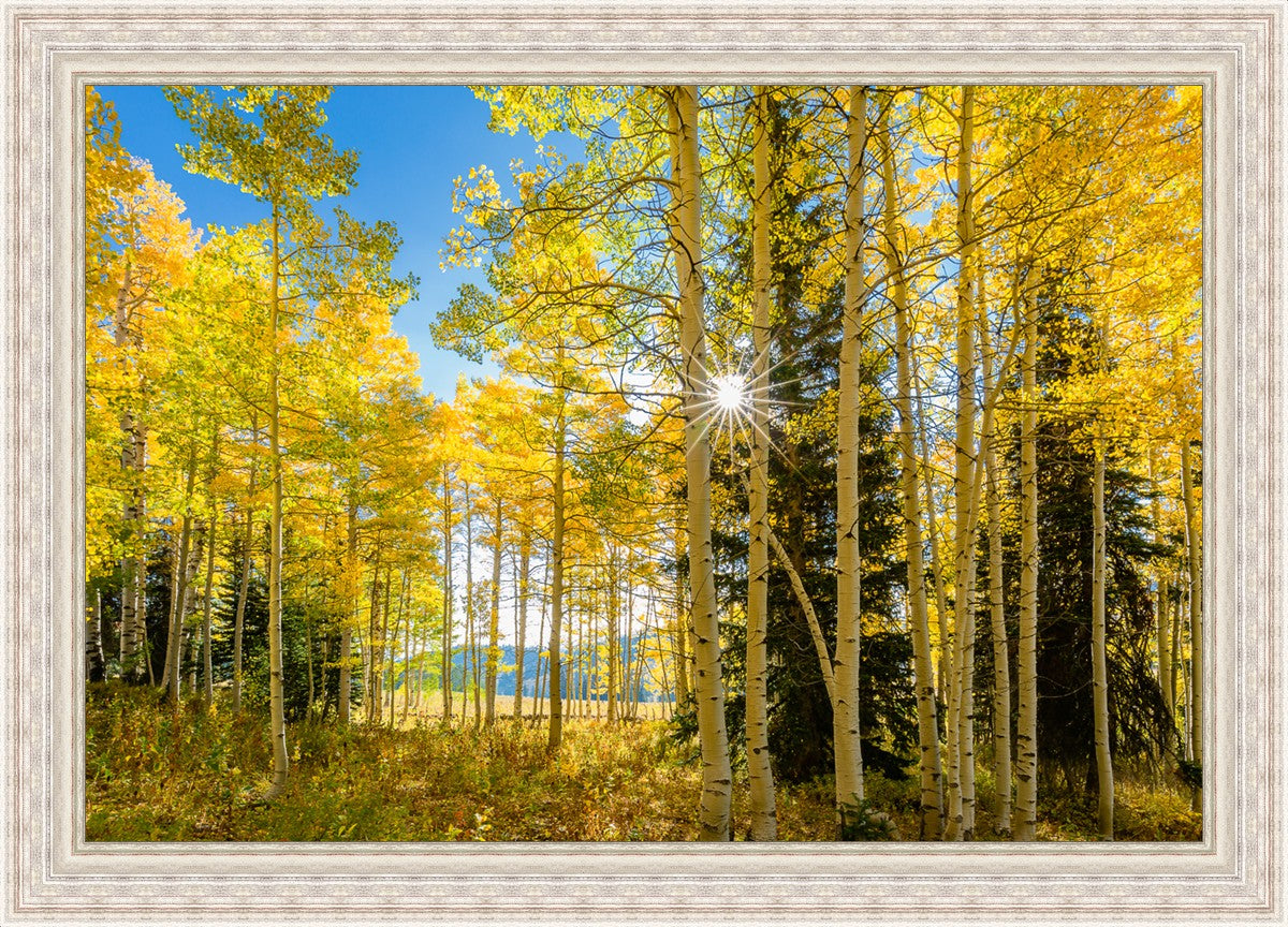 Autumn in the Rocky Mountains, Wasatch National Forest, Utah