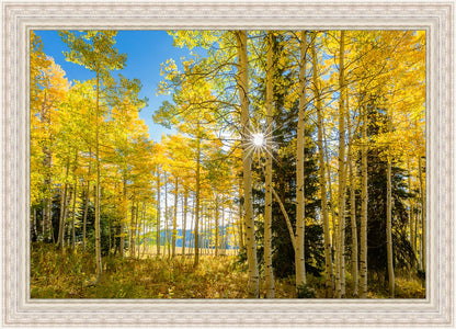 Autumn in the Rocky Mountains, Wasatch National Forest, Utah