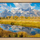 Autumn Splendor