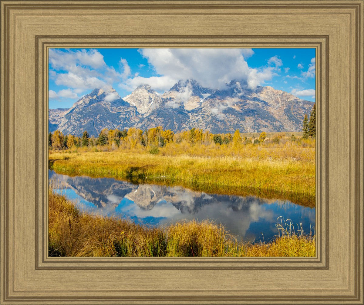 Autumn Splendor