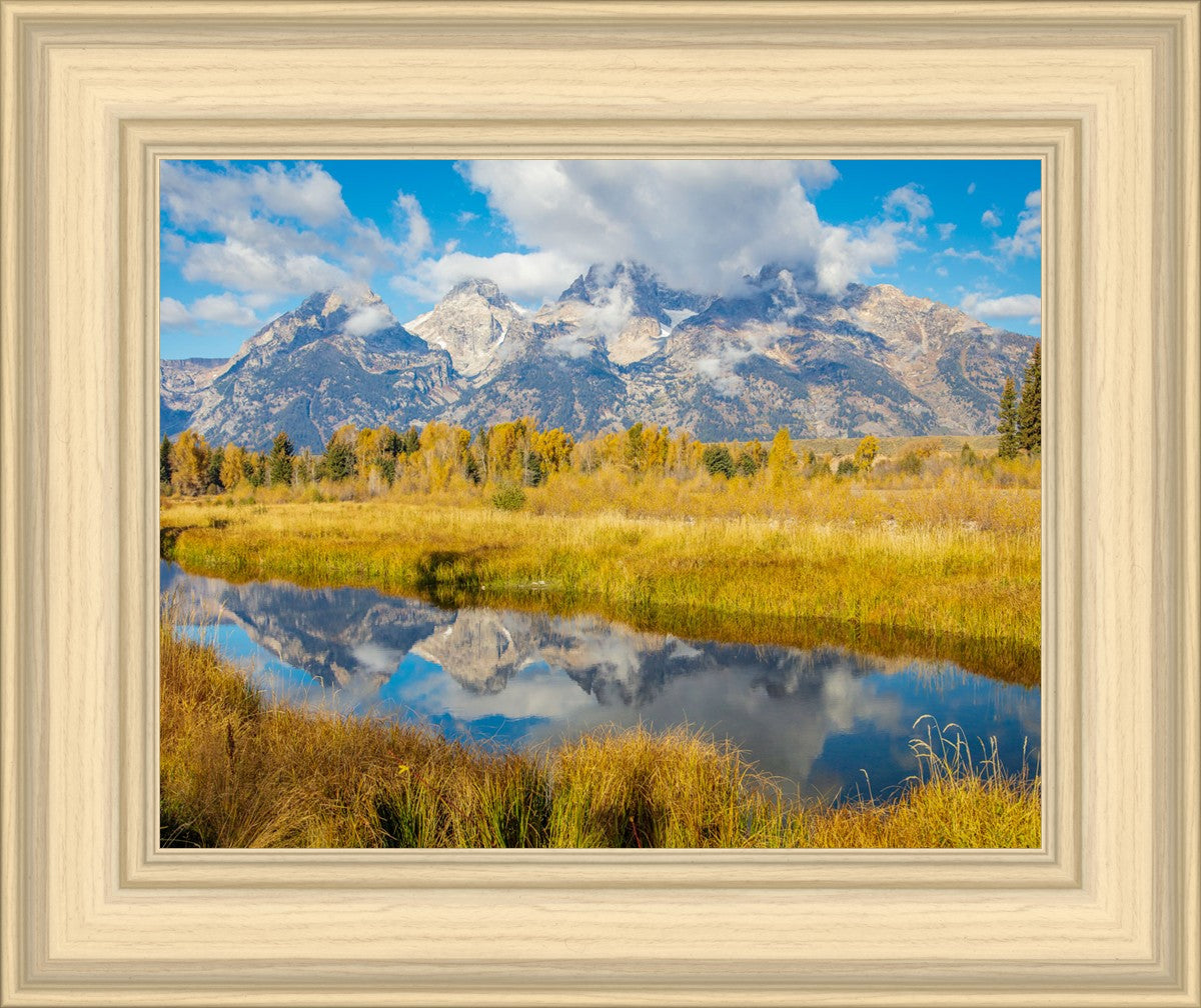 Autumn Splendor