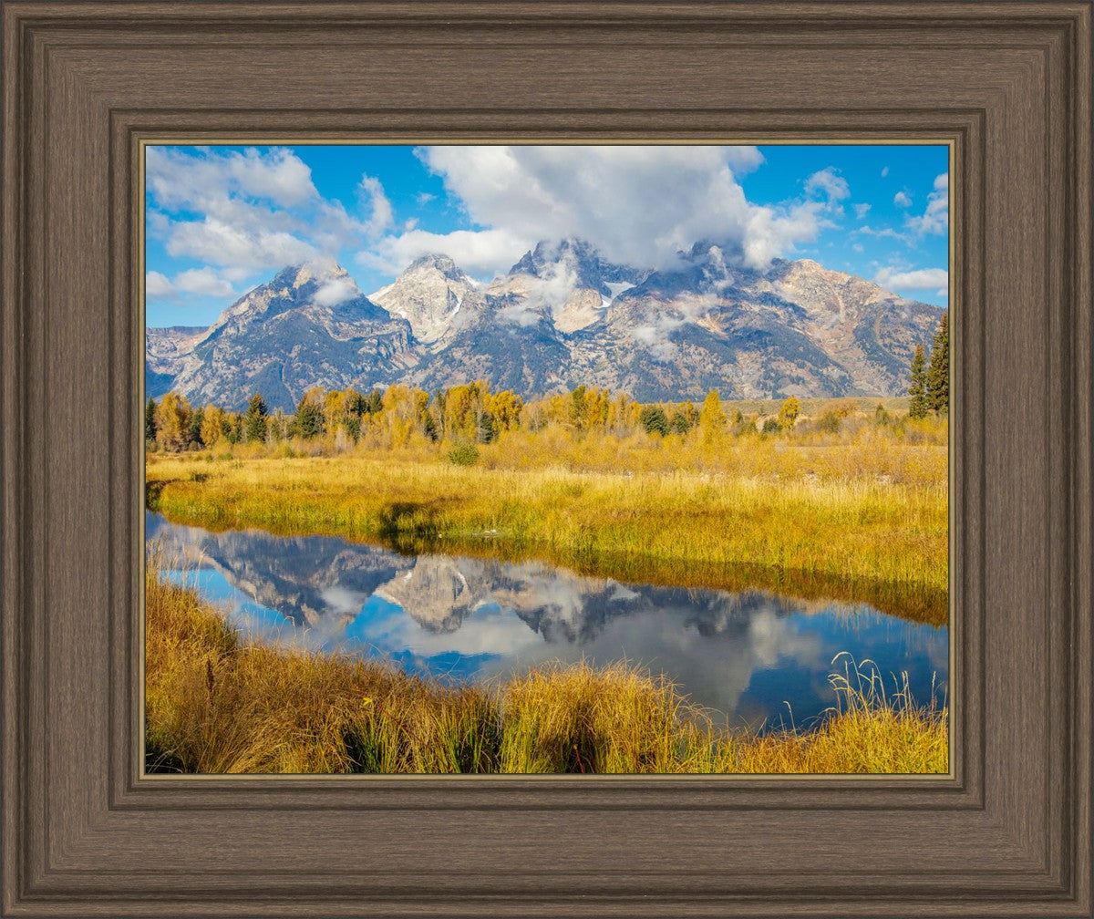 Autumn Splendor