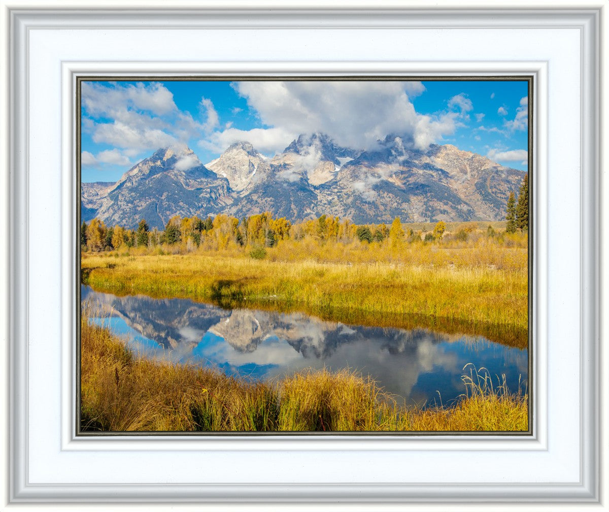 Autumn Splendor