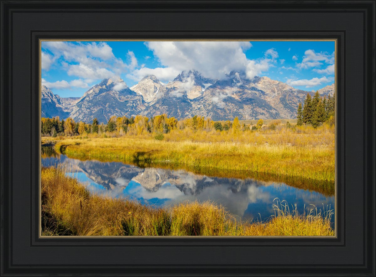 Autumn Splendor