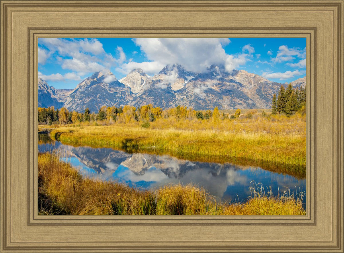 Autumn Splendor