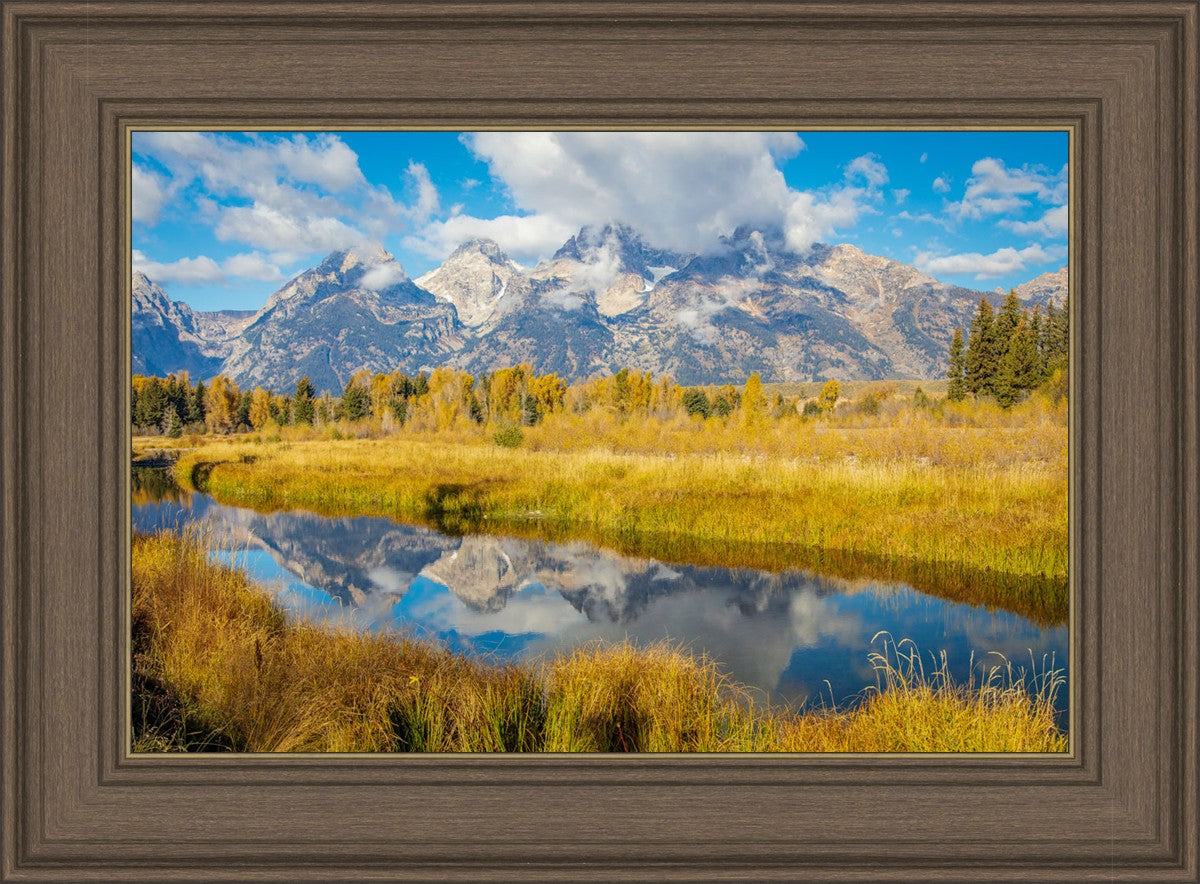 Autumn Splendor