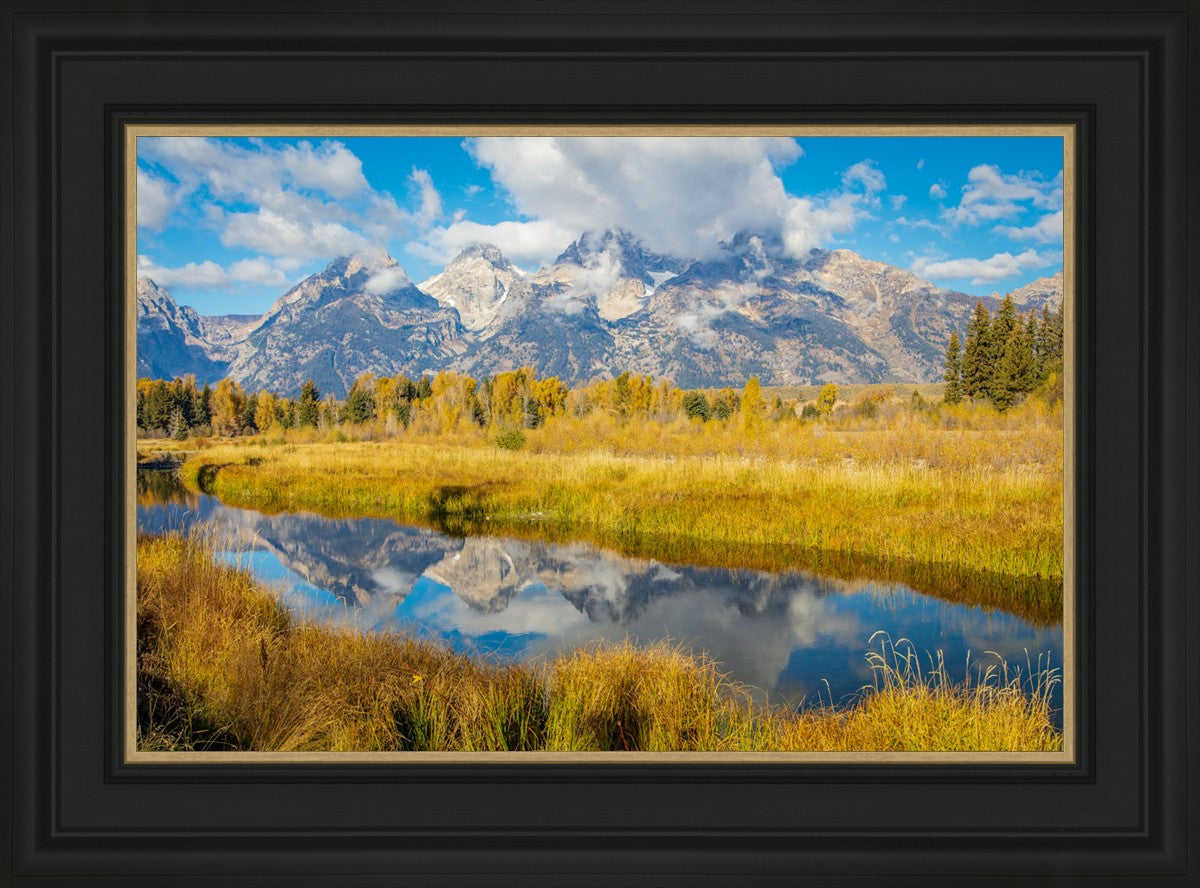 Autumn Splendor