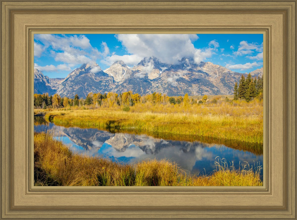 Autumn Splendor
