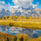 Autumn Splendor
