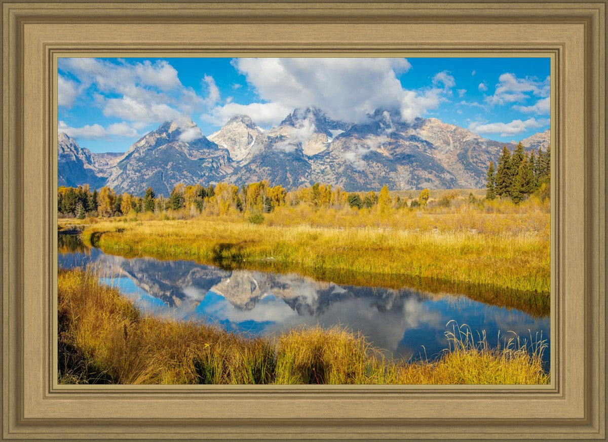 Autumn Splendor