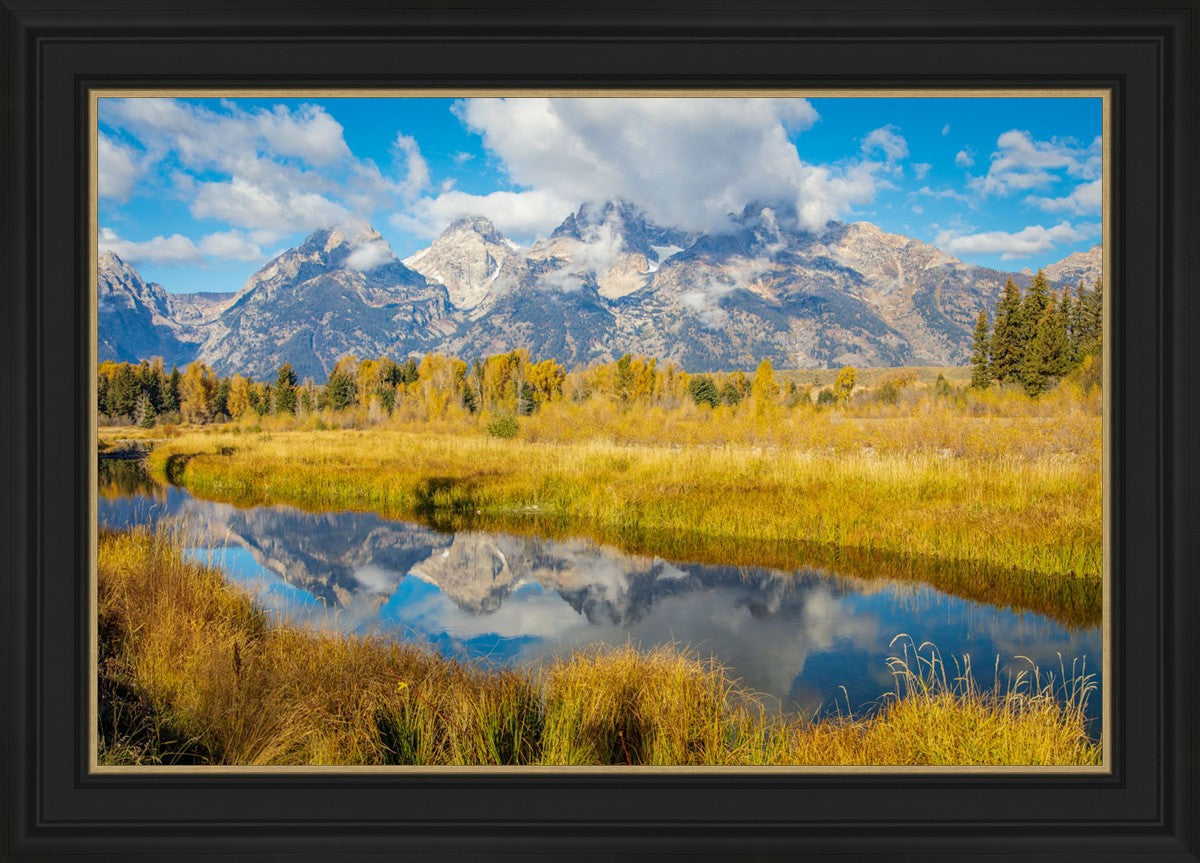 Autumn Splendor