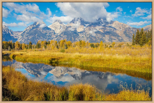 Autumn Splendor