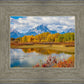 Changing Seasons