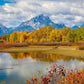 Changing Seasons