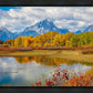 Changing Seasons