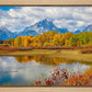 Changing Seasons